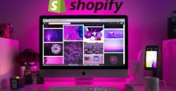 Shopify website themes